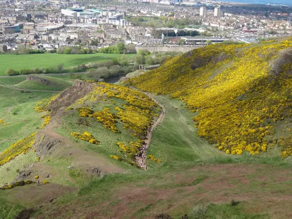 Arthur's Seat, 2018